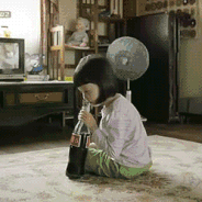 95.gif